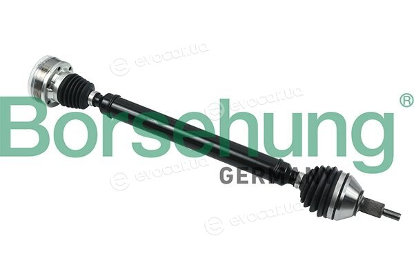 Borsehung B18307