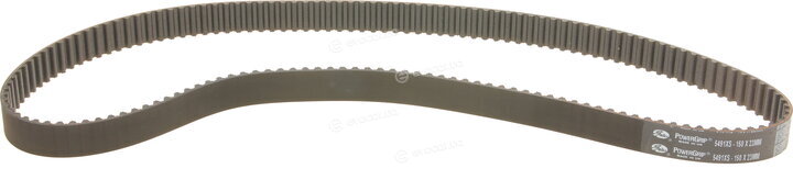 Gates K025491XS