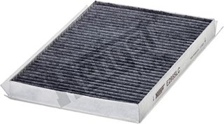 Hengst E2955LC