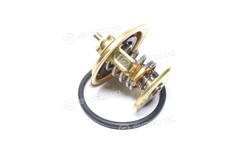 Wahler / BorgWarner 4253.87D