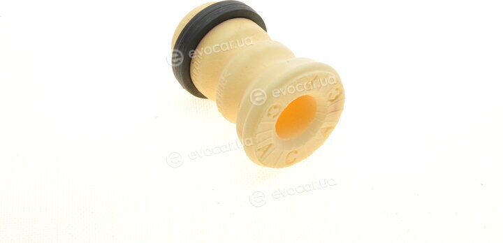 Borsehung B10027