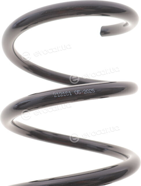 Solgy 212161