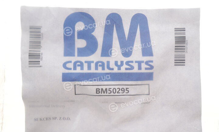 BM Catalysts BM50295