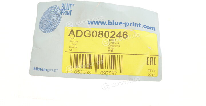 Blue Print ADG080246