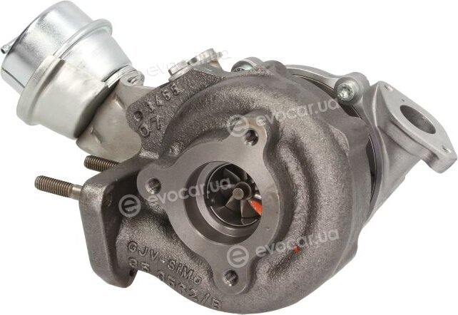 BorgWarner 54359880014