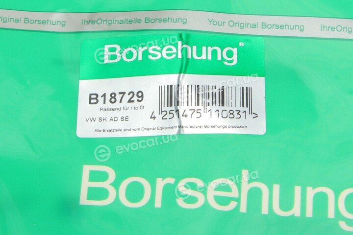 Borsehung B18729