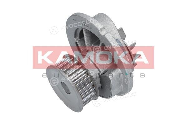 Kamoka T0231