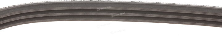 Gates 3PK495