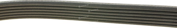 Dayco 6PK2263