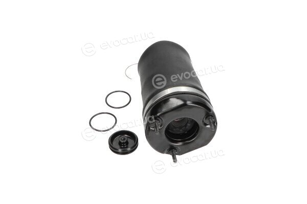 Kavo SAS-10004