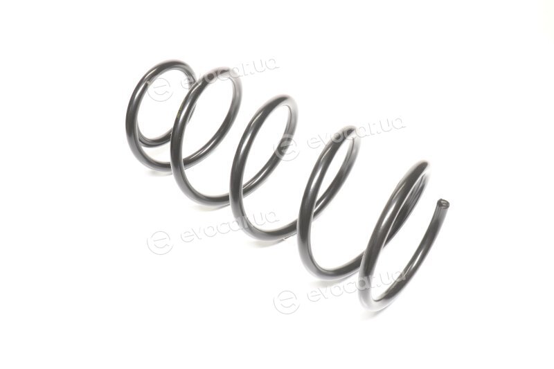 Lesjofors 4015612