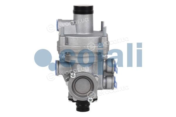 Cojali 2220310