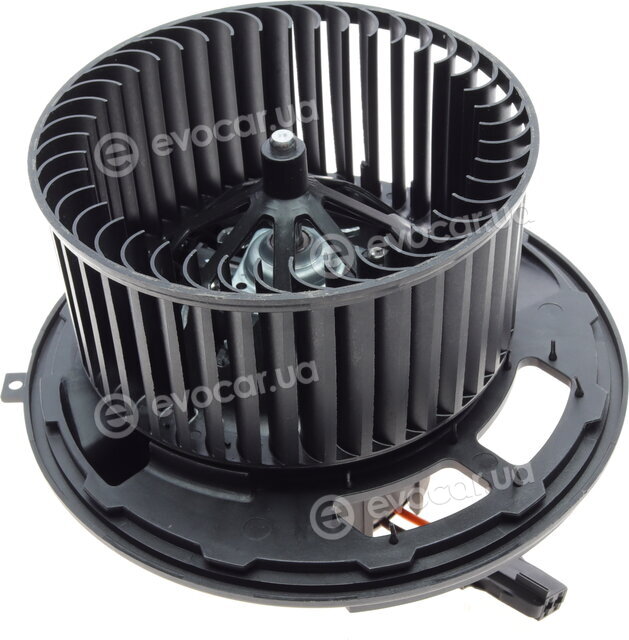 AIC 55362