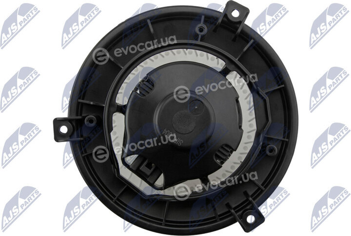 NTY EWN-PL-004