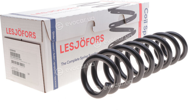 Lesjofors 4208492