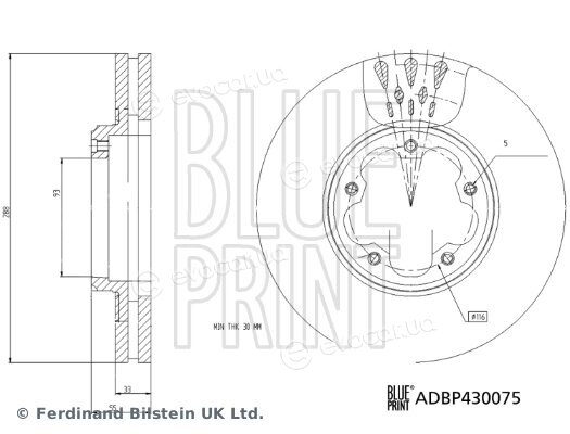 Blue Print ADBP430075