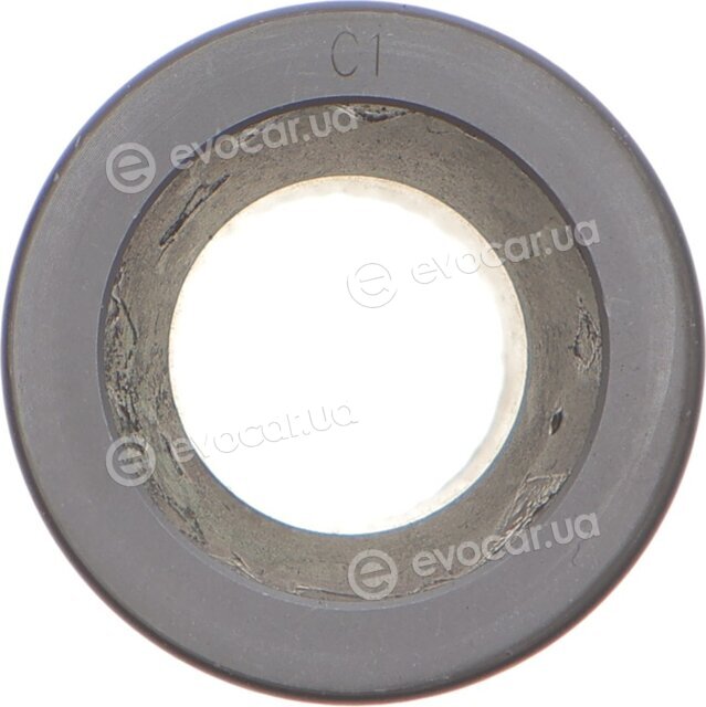 Mahle 081 PI 00113 000