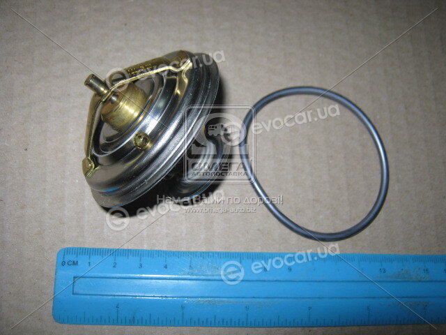 Wahler / BorgWarner 4274.87D
