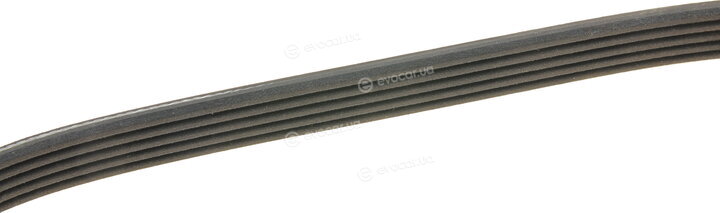 Dayco 5PK650
