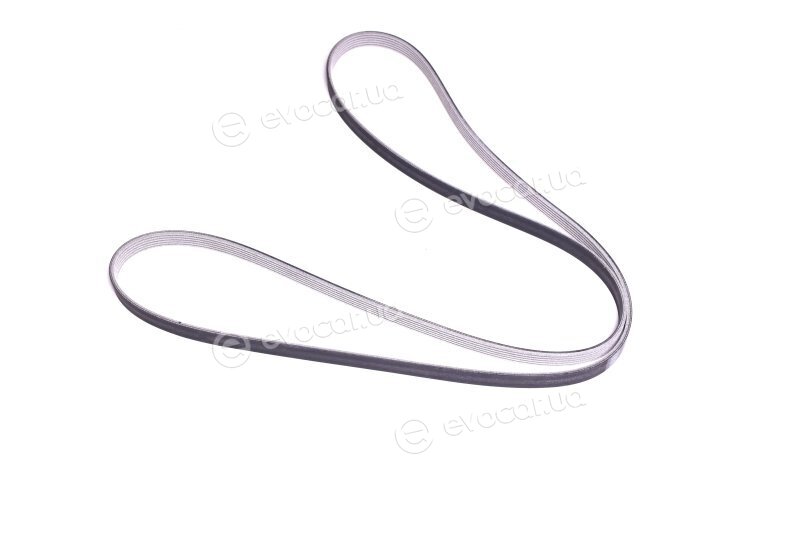 SKF VKMV 6PK2196