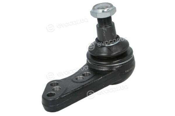 Reinhoch RH54-1003