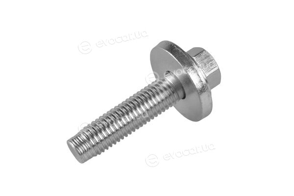 Tedgum TED50696