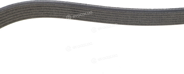 Dayco 6PK989EE
