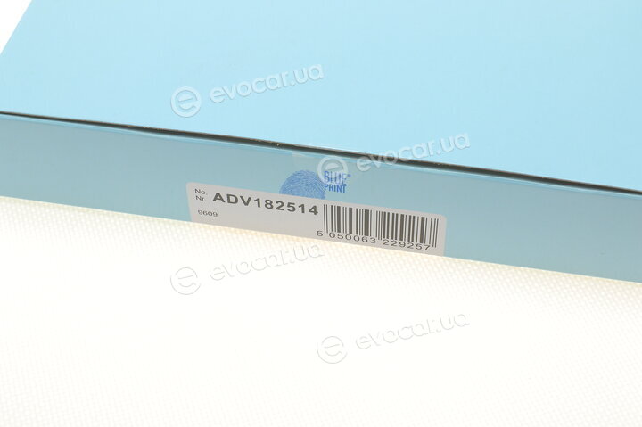 Blue Print ADV182514
