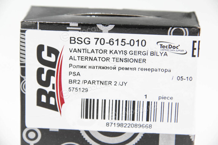 BSG BSG 70-615-010