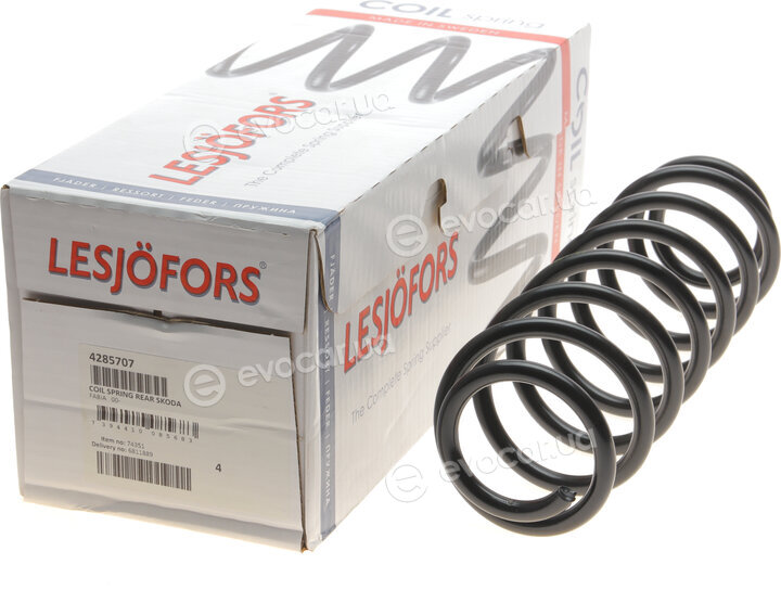 Lesjofors 4285707