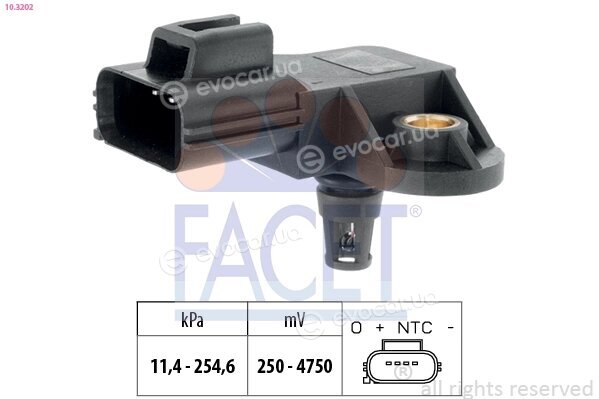 Facet 10.3202