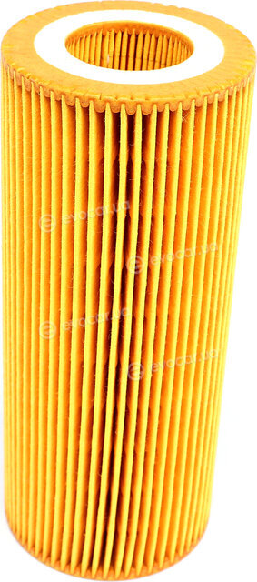 Solgy 101026