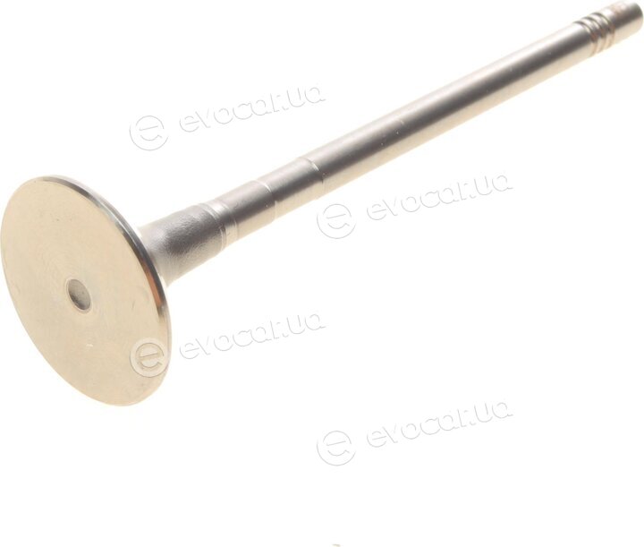 AMP PFOR248-B-0-N