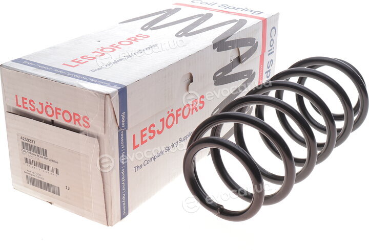 Lesjofors 4259237