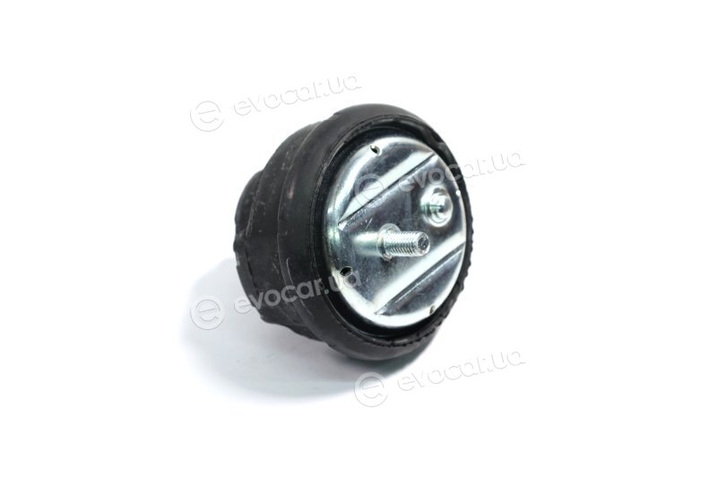Sasic 9001407
