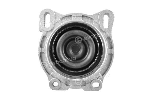 Tedgum TED44719