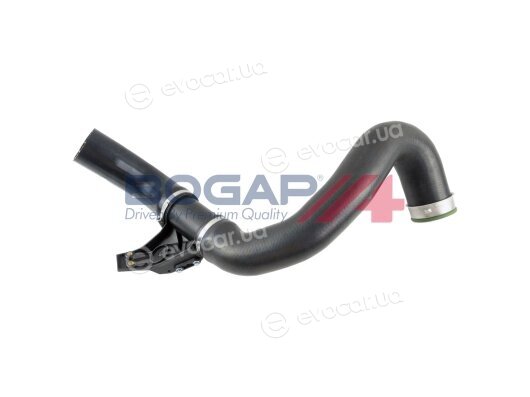 Bogap C1711144