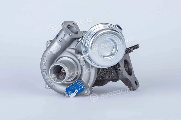 BorgWarner 16359880032