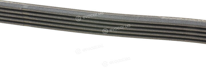 Continental 5PK1190