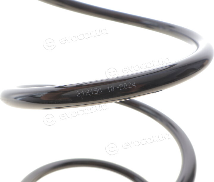 Solgy 212150