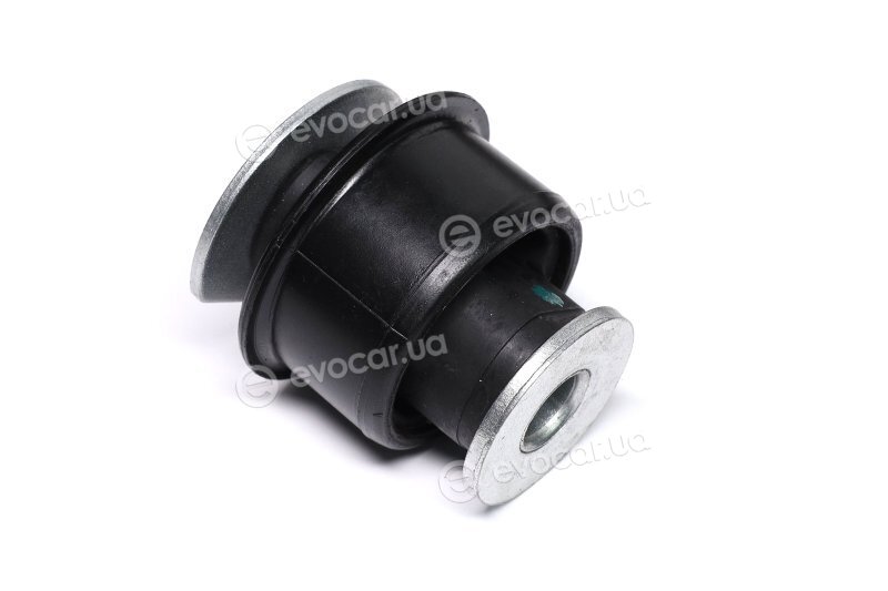 Sasic 2250031