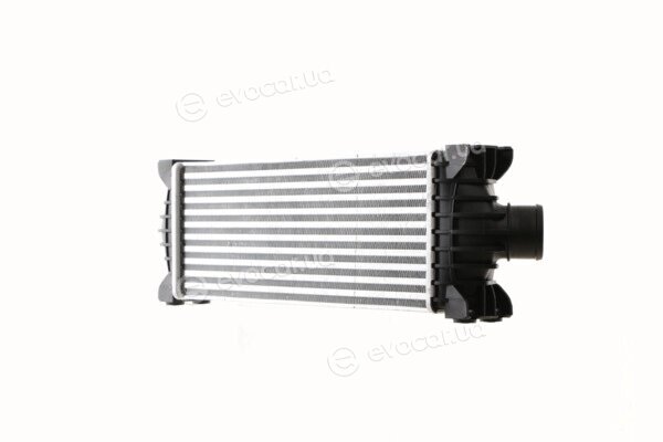 Mahle CI 391 000S