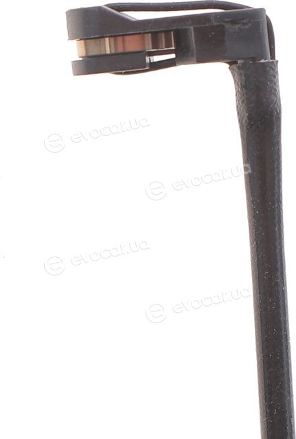 Solgy 402019