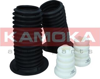 Kamoka 2019211