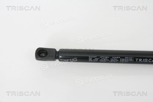 Triscan 8710 29120