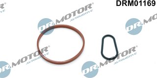 Dr. Motor DRM01169