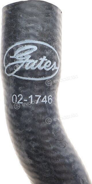 Gates 02-1746