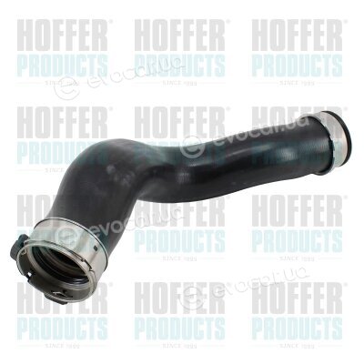 Hoffer 96678