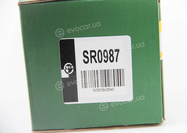 BGA SR0987