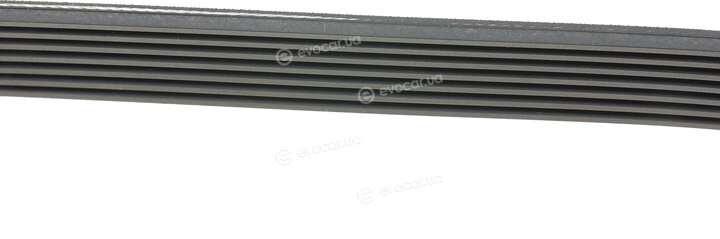 Hutchinson 1817 K 7